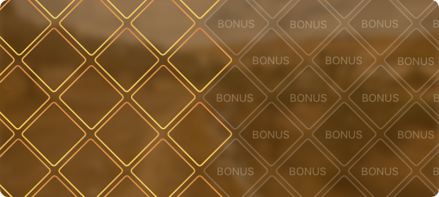 bonus